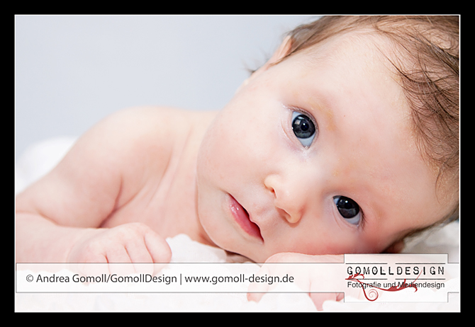 Fotoshooting_November_2009_22