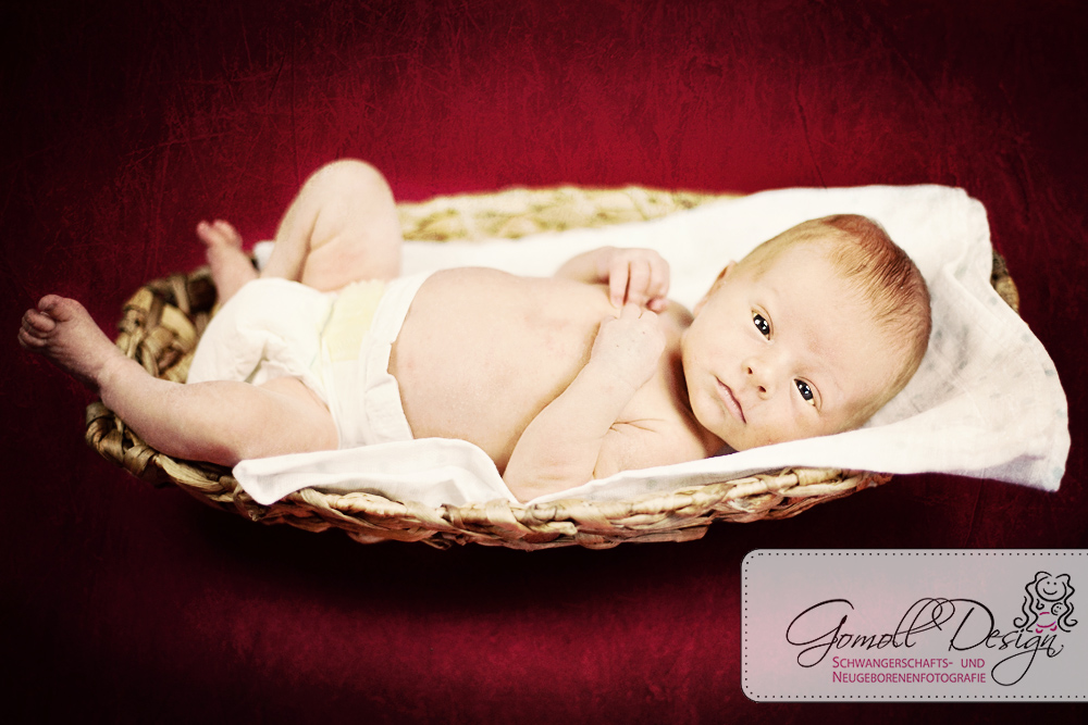 babyfotografie-neugeborenenenfotografie-fotograf-nauen-1