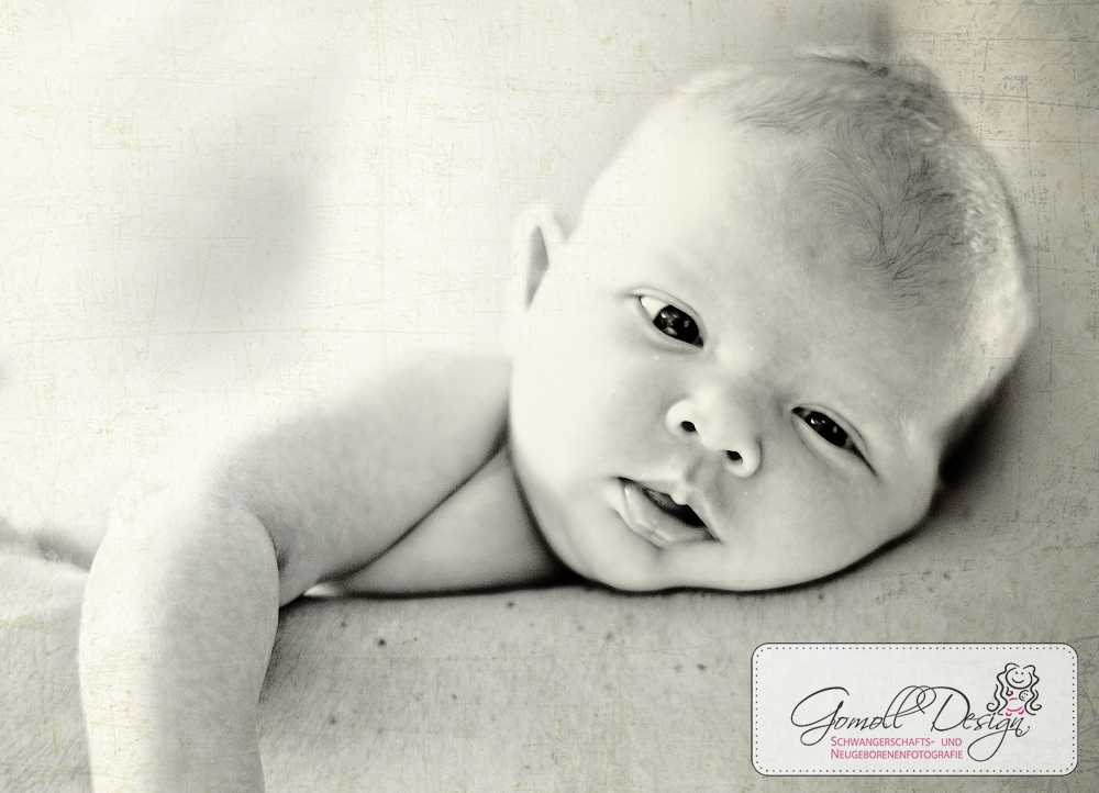 Neugeborenenfotografie-Fotostudio-Nauen-Gomoll-4 Neugeborenenfotografie Fotostudio Fotograf Nauen
