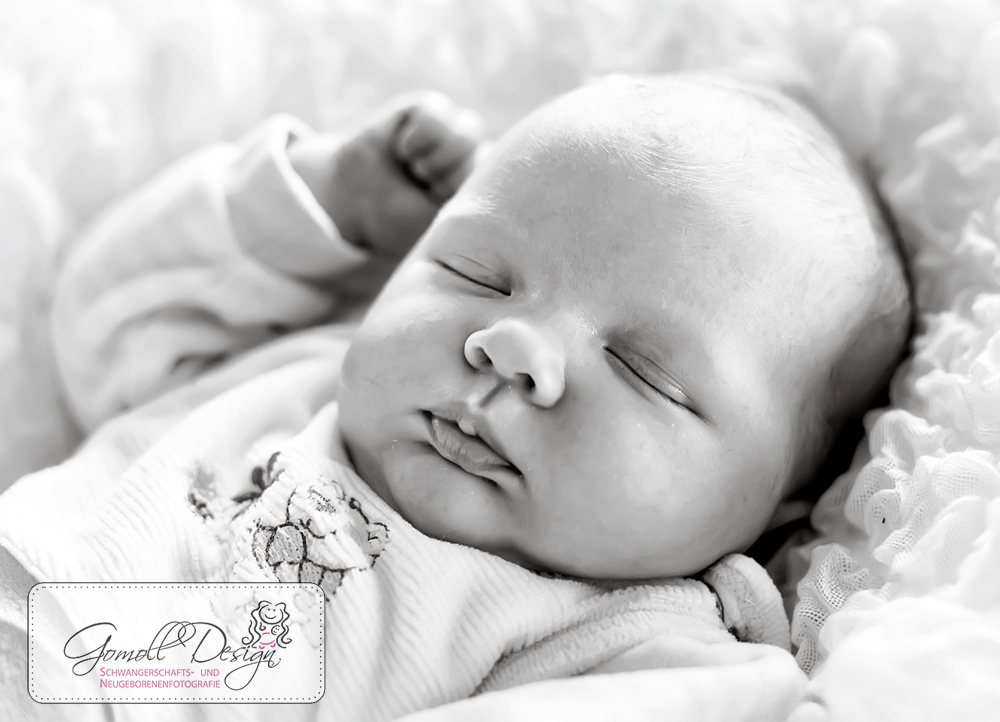 Neugeborenenfotografie-Fotostudio-Nauen-Gomoll-5 Neugeborenenfotografie Fotostudio Fotograf Nauen