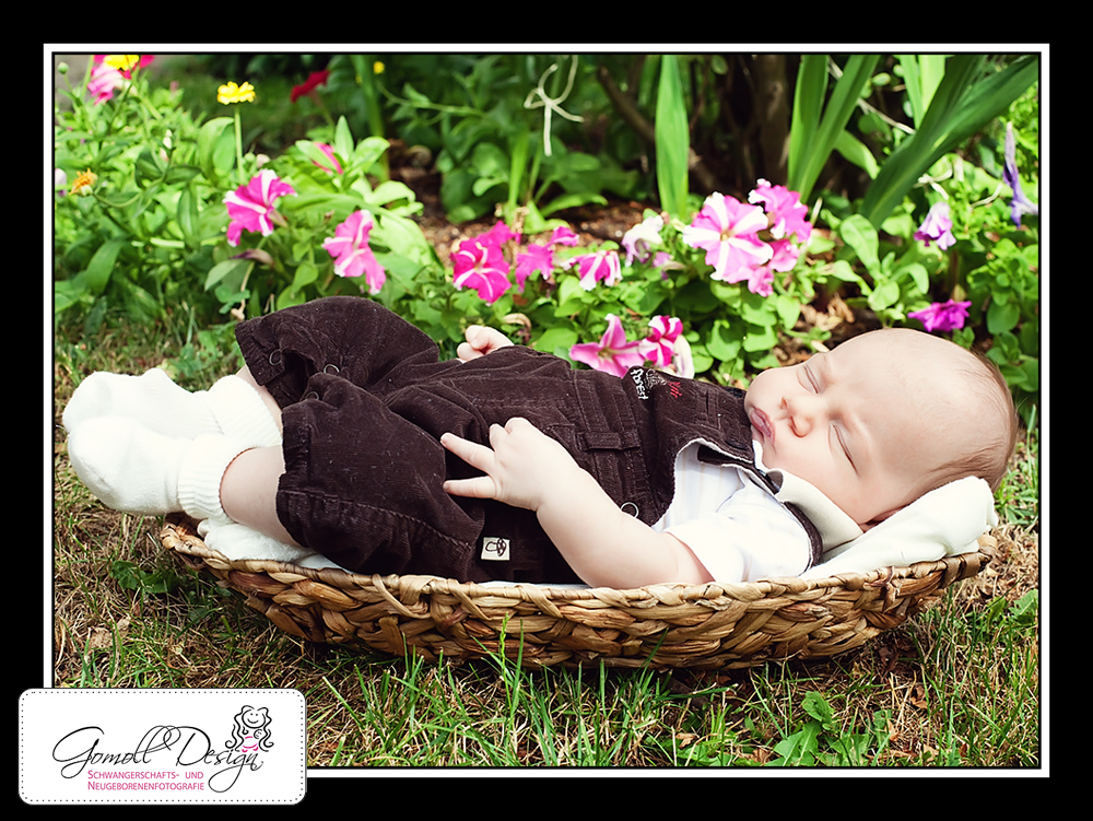 gomolldesign-fotograf-nauen-falkensee-berlin-neugeborenenfotografie-4 Fotograf Fotostudio Babyfotos Neugeborenenfotos Berlin Brandenburg