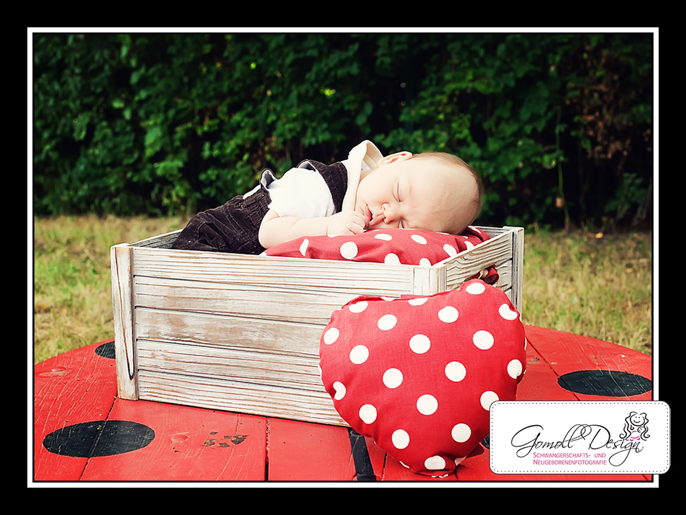 gomolldesign-fotograf-nauen-falkensee-berlin-neugeborenenfotografie-5 Fotograf Fotostudio Babyfotos Neugeborenenfotos Berlin Brandenburg