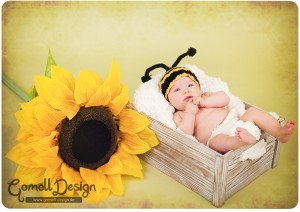 Babyfotos Fotograf Spandau Potsdam