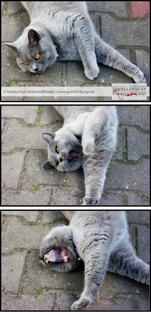 Unbenannt-1 Unbenannt-1