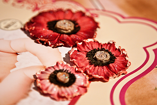 IMG_0255 IMG_0255