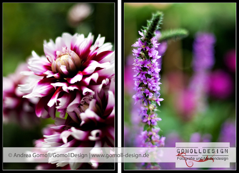 blumen