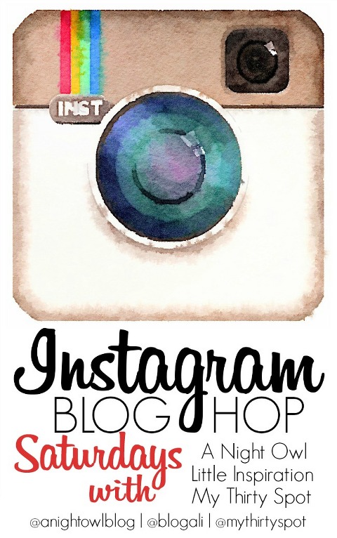 Instagram Blog Hop