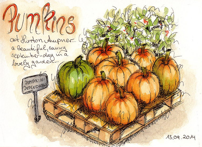 sketch-pumpkins